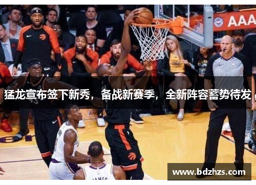 猛龙宣布签下新秀，备战新赛季，全新阵容蓄势待发